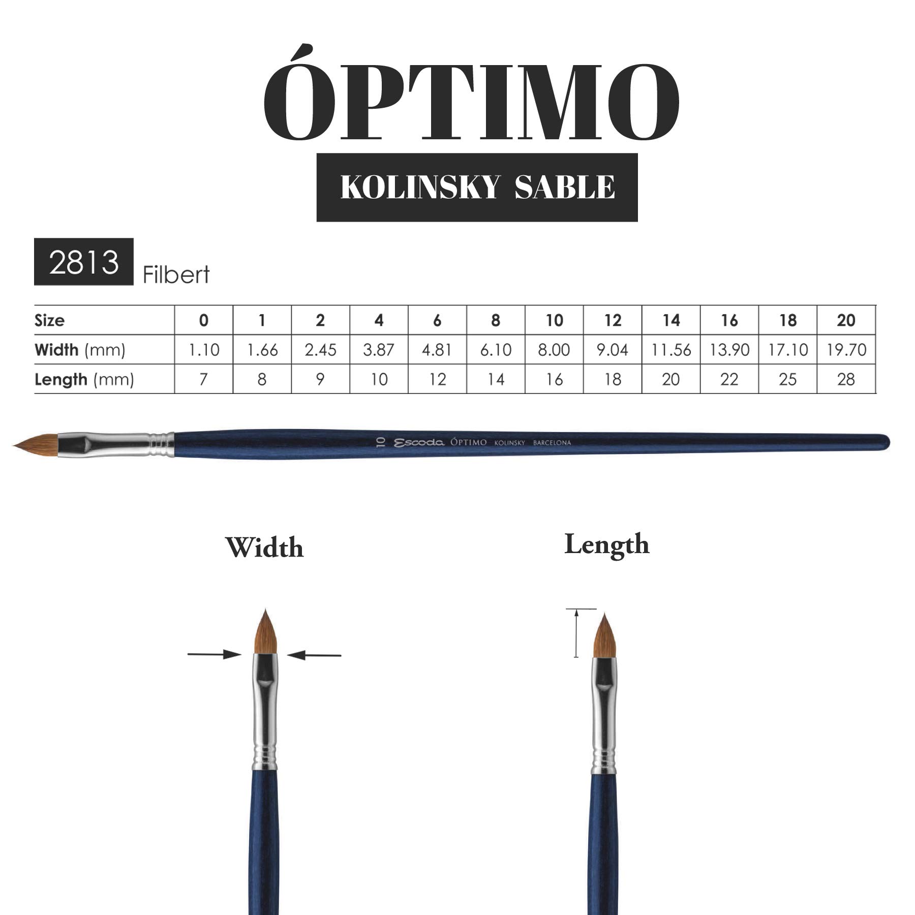 Speedball Escoda Optimo Series Size 14 Kolinsky Filbert Brush - Professional Artist Oil & Acrylic Paint Brush with Long Handle - Perfect for Canvas Painting, Portrait Art & Fine Detail Work