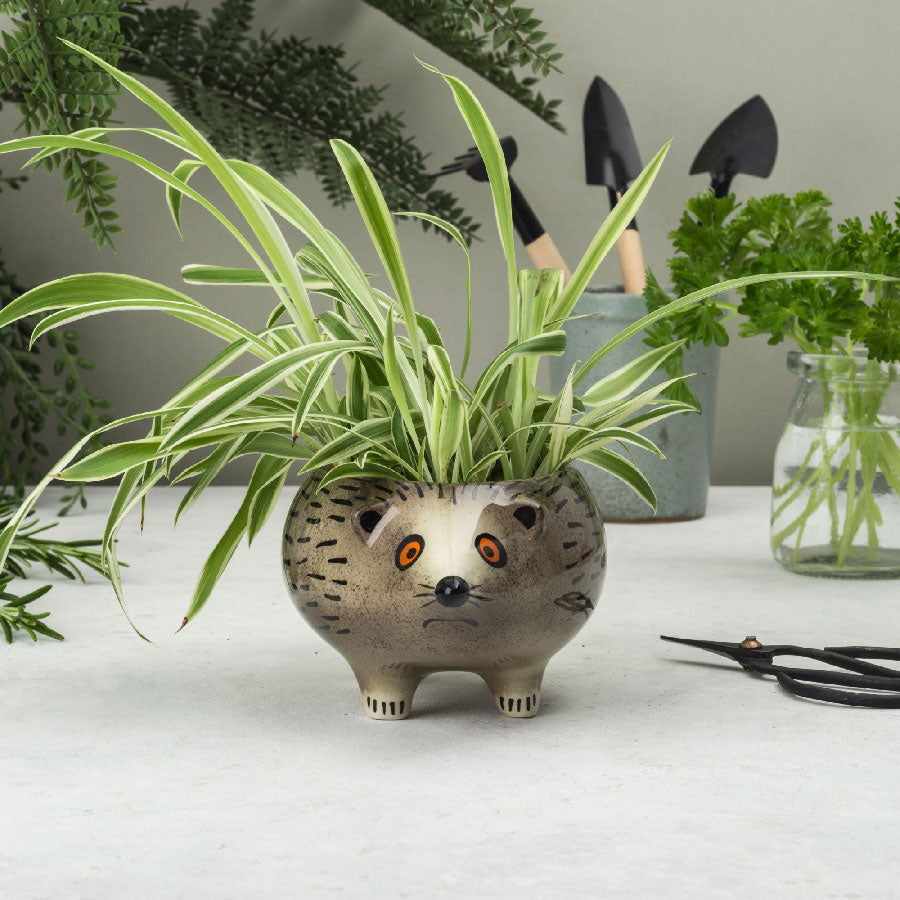 Cute Hedgehog Planter - Small Succulent Flower Pot for Indoor Plants - Perfect for Home Decor, Office Desk, and Garden Gifts