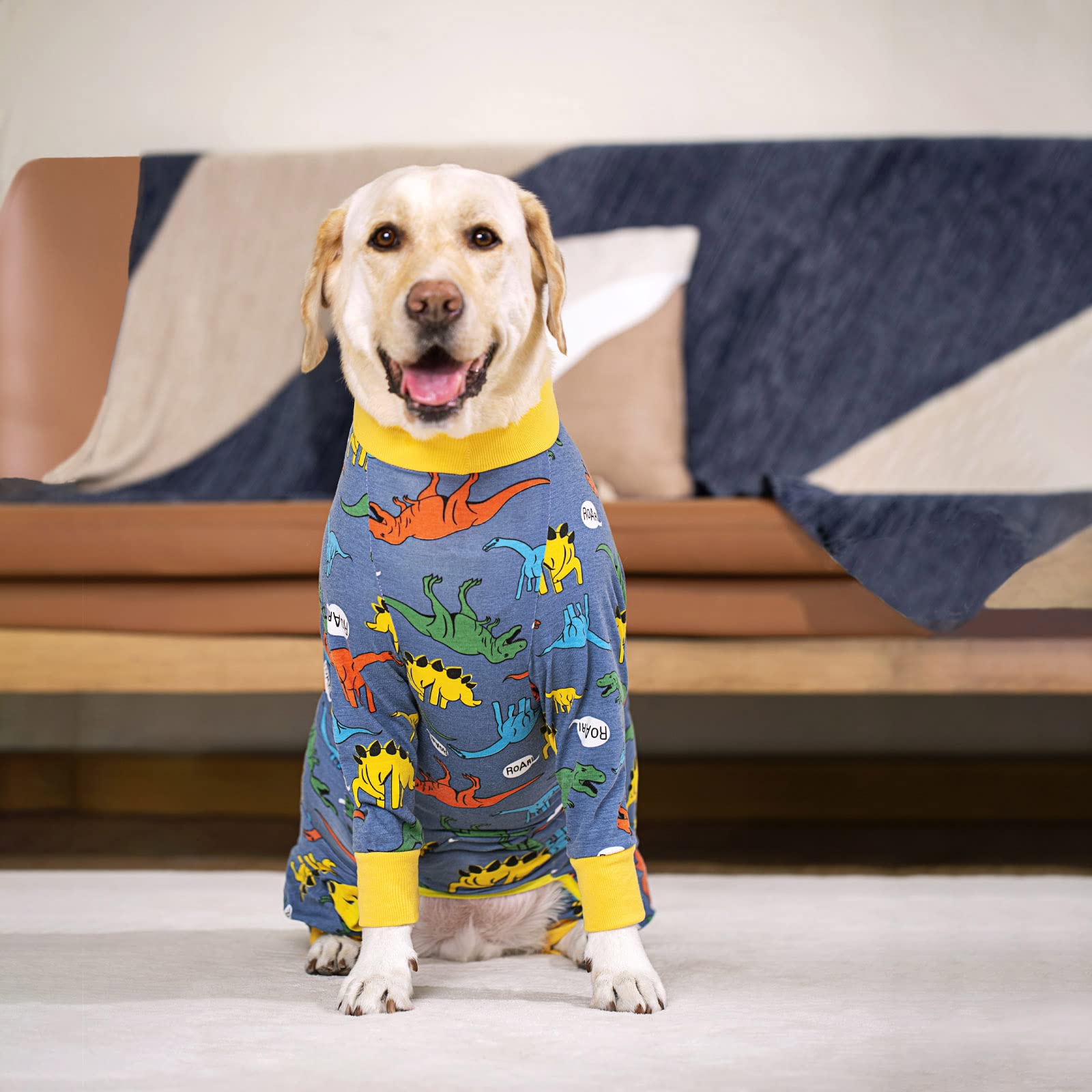 Post-Surgery Dog Recovery Suit for Medium & Large Dogs - Spay/Neuter Onesie to Prevent Licking & Shedding | Surgical Wound Protection | Comfortable Cone Alternative for Male & Female Dogs | Ideal for Post-Op Care, Wound Healing & Stress-Free Recovery