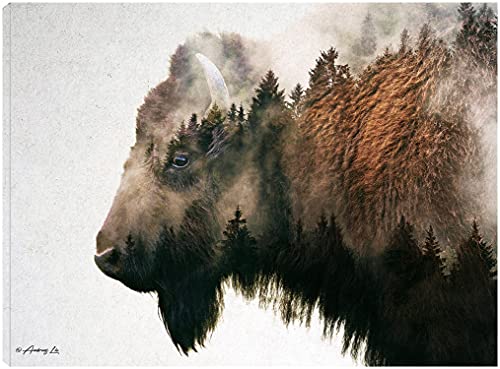 Bison