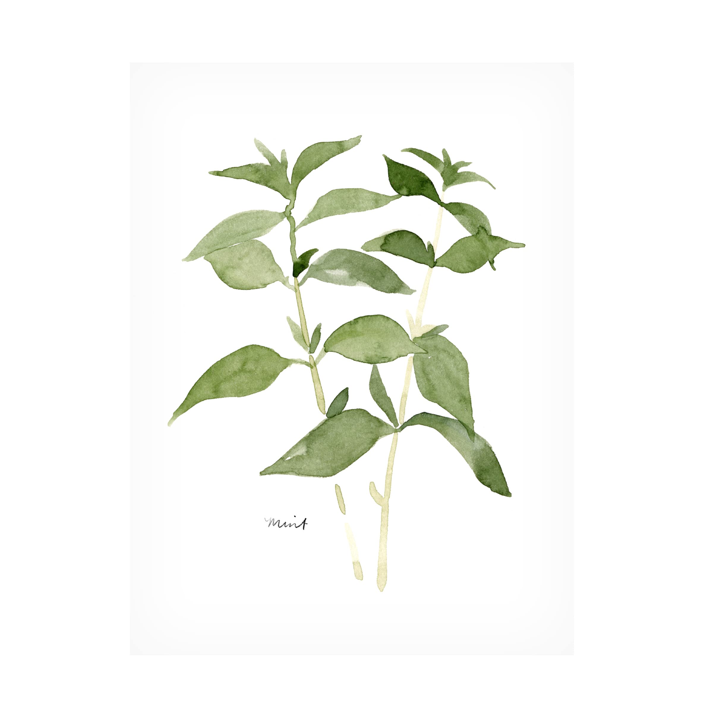 Emma Scarvey Herb Garden Sketches I Canvas Art Print - Botanical Wall Decor for Kitchen, Living Room & Office - Trademark Fine Art