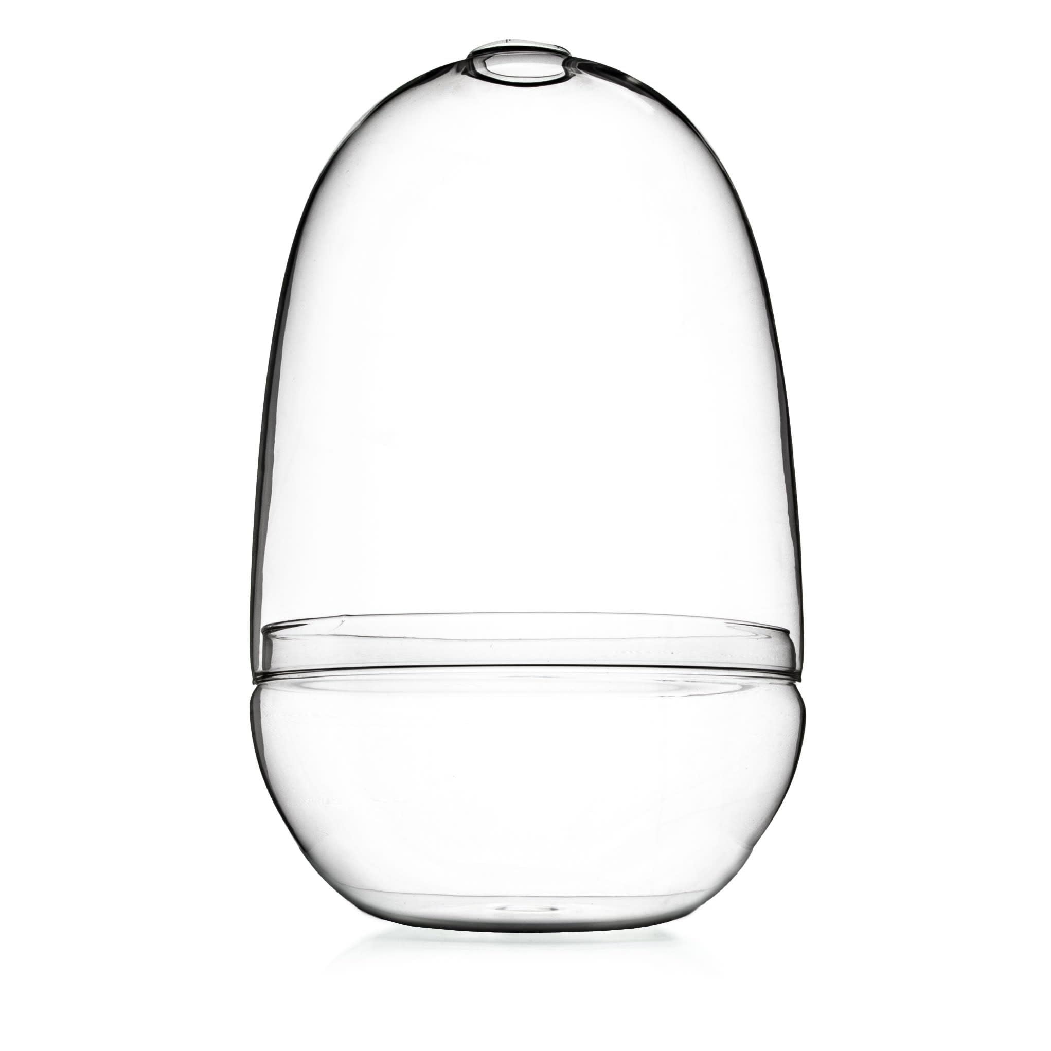 Bloomingville Large Clear Glass Terrarium for Succulents, Air Plants & Home Decor – Perfect for Indoor Gardens, Terrarium Displays & Wedding Centerpieces