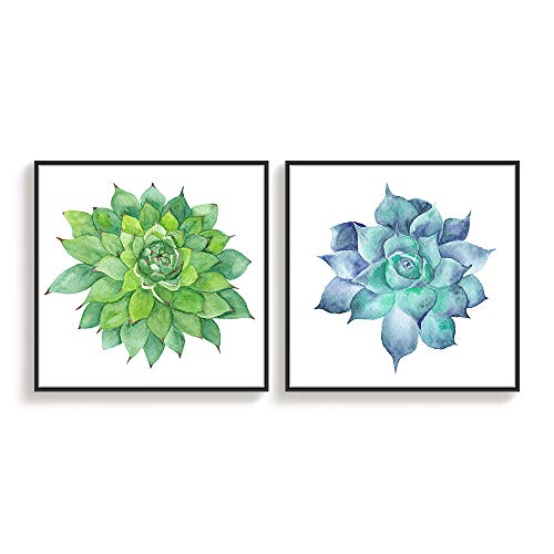 Cactus-s01