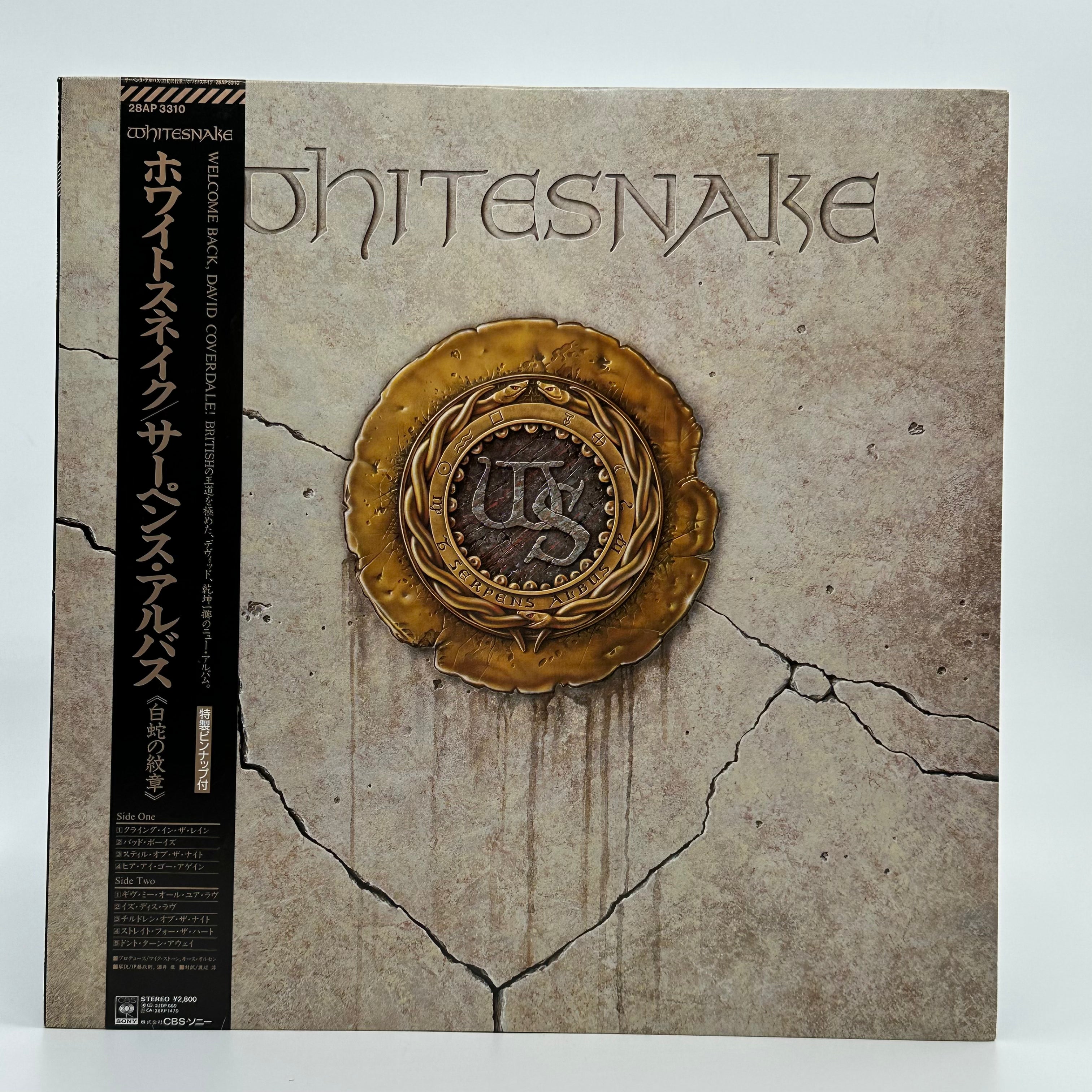 Whitesnake Band Merch - Official Whitesnake T-Shirts, Hoodies & Accessories for Rock Fans | Perfect for Concerts, Gifts & Everyday Wear