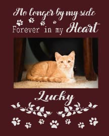 Cats Paw Print