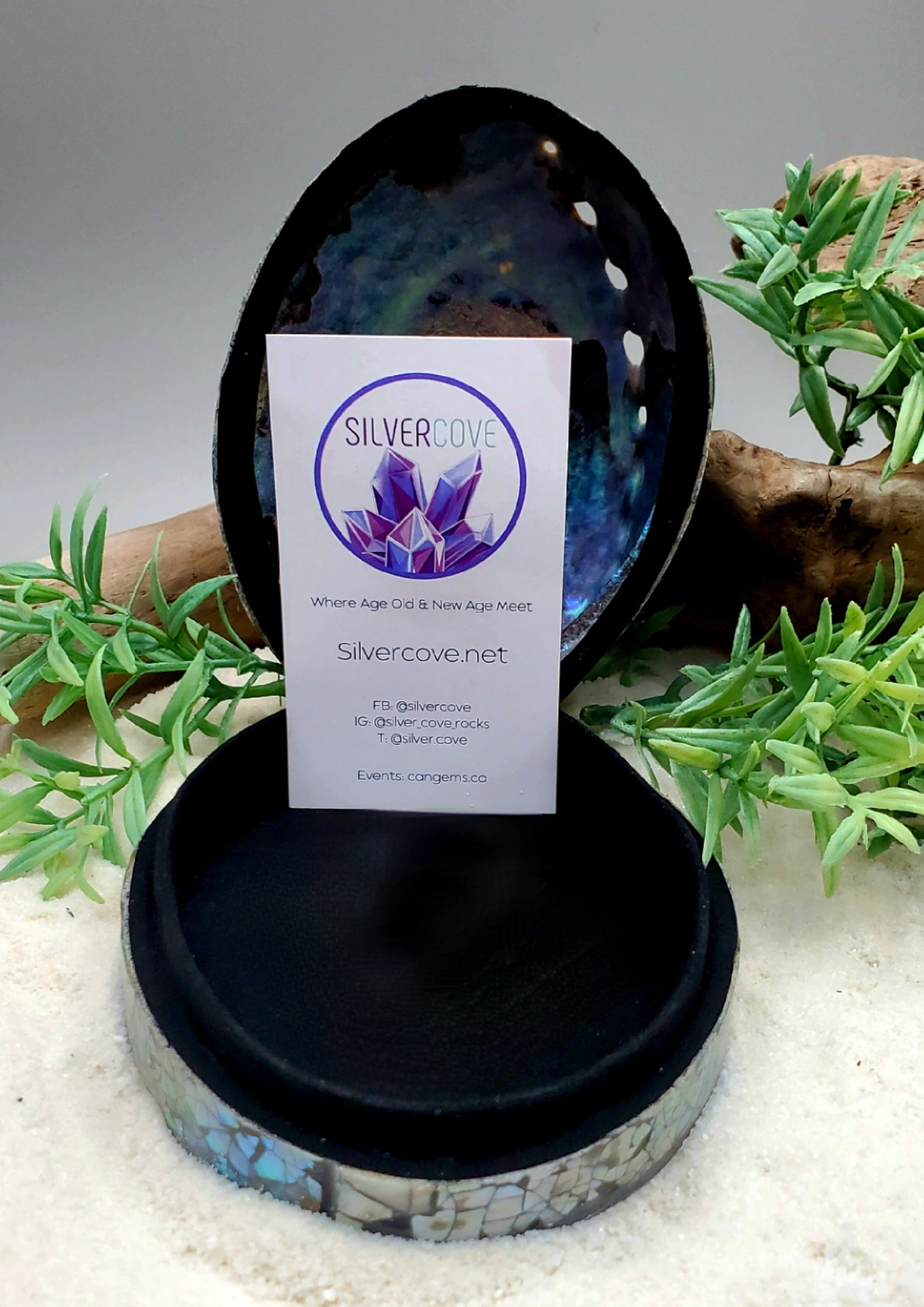 Elegant Abalone Shell Trinket Box - Handmade Jewelry Storage Organizer for Rings, Earrings & Small Keepsakes - Perfect for Beach House Decor, Boho Chic Bedroom & Gift Giving