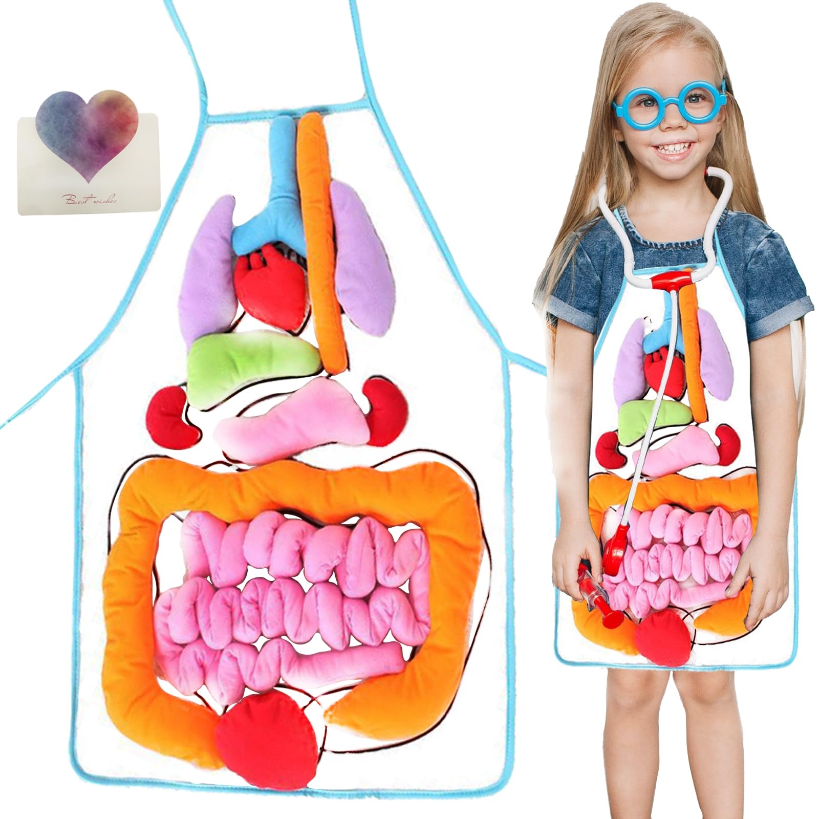 3D Human Body Anatomy Learning Toys for Kids - DIY Organ Apron, Transparent Preschool Educational Toys for Home & Classroom STEM Activities | Early Childhood Science Exploration