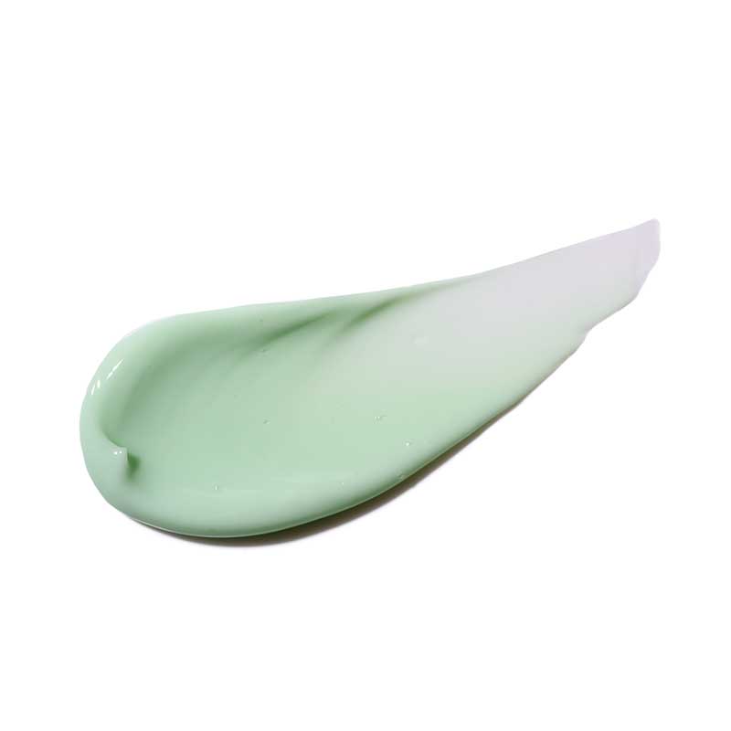 Bahama Skin Matte Day Cream - Oil-Free Moisturizer for Oily & Combination Skin | Hydrating & Non-Greasy Formula | Perfect for Daily Use & Makeup Base