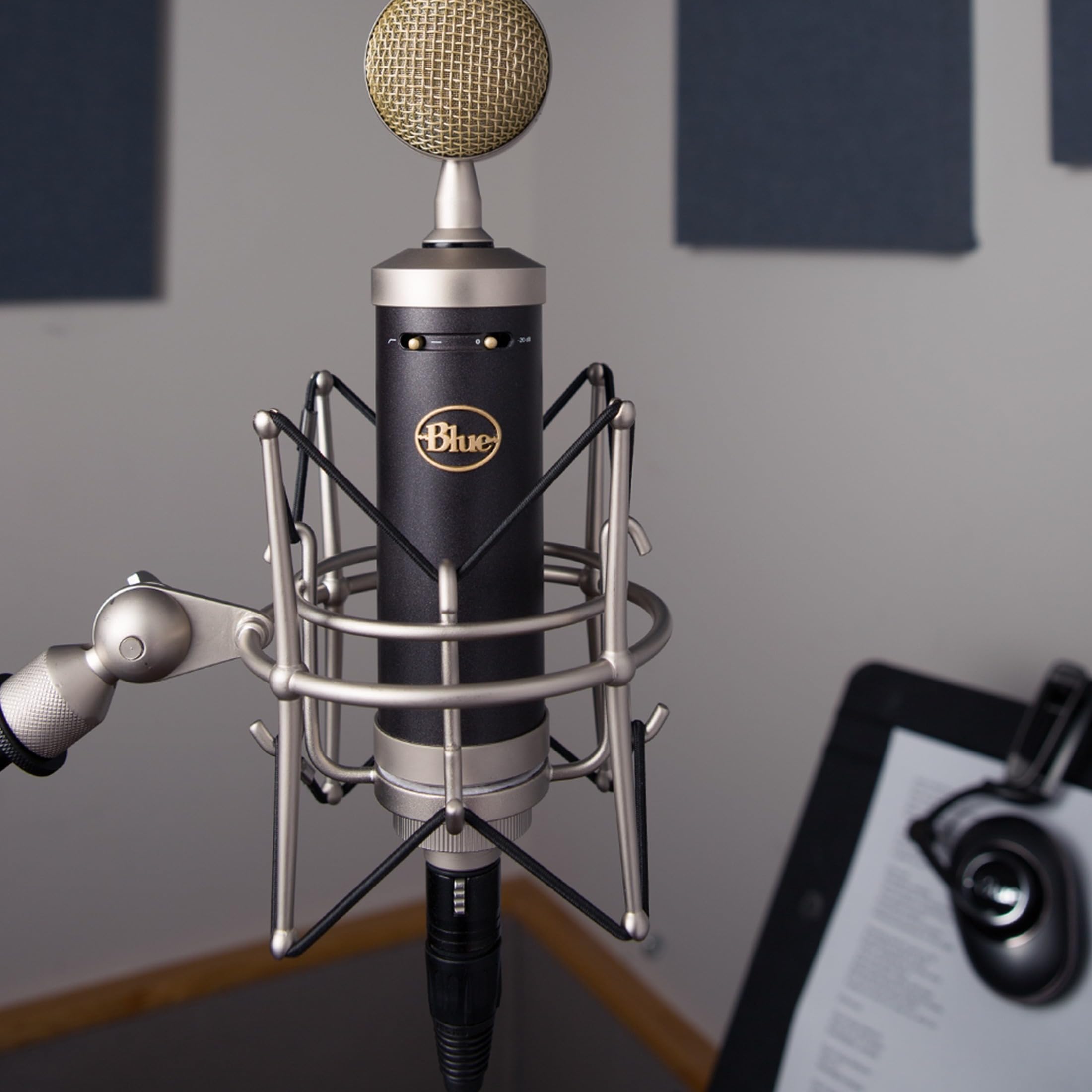 Blue Baby Bottle XLR Cardioid Condenser Microphone - Professional Studio Recording, Live Streaming, Podcasting & Gaming Mic with Large Diaphragm, Shock Mount & Case - Perfect for Home Studios, Voiceovers & Content Creation