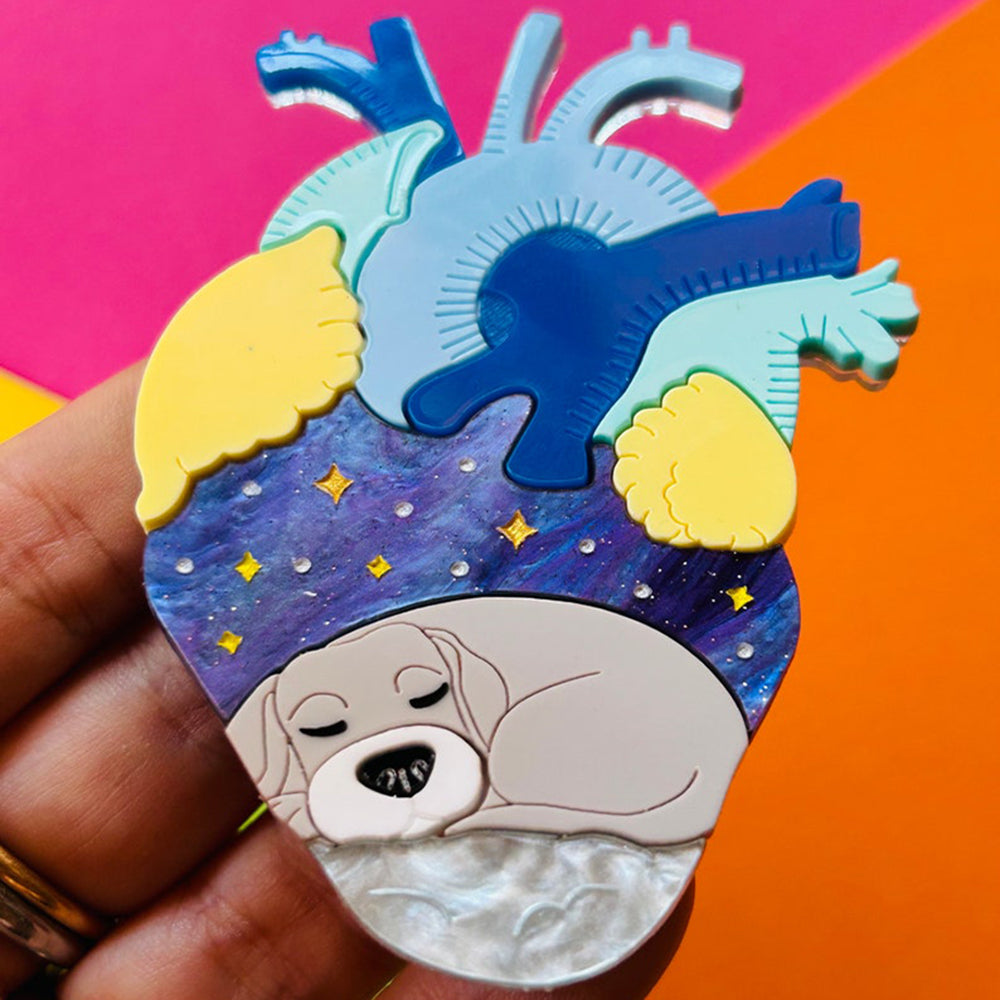 Anatomical Hearts Collection - You Live Here Cat & Dog Acrylic Brooch Pin by Makokot Design - Perfect for Pet Lovers, Fashion Accessories & Gift Giving