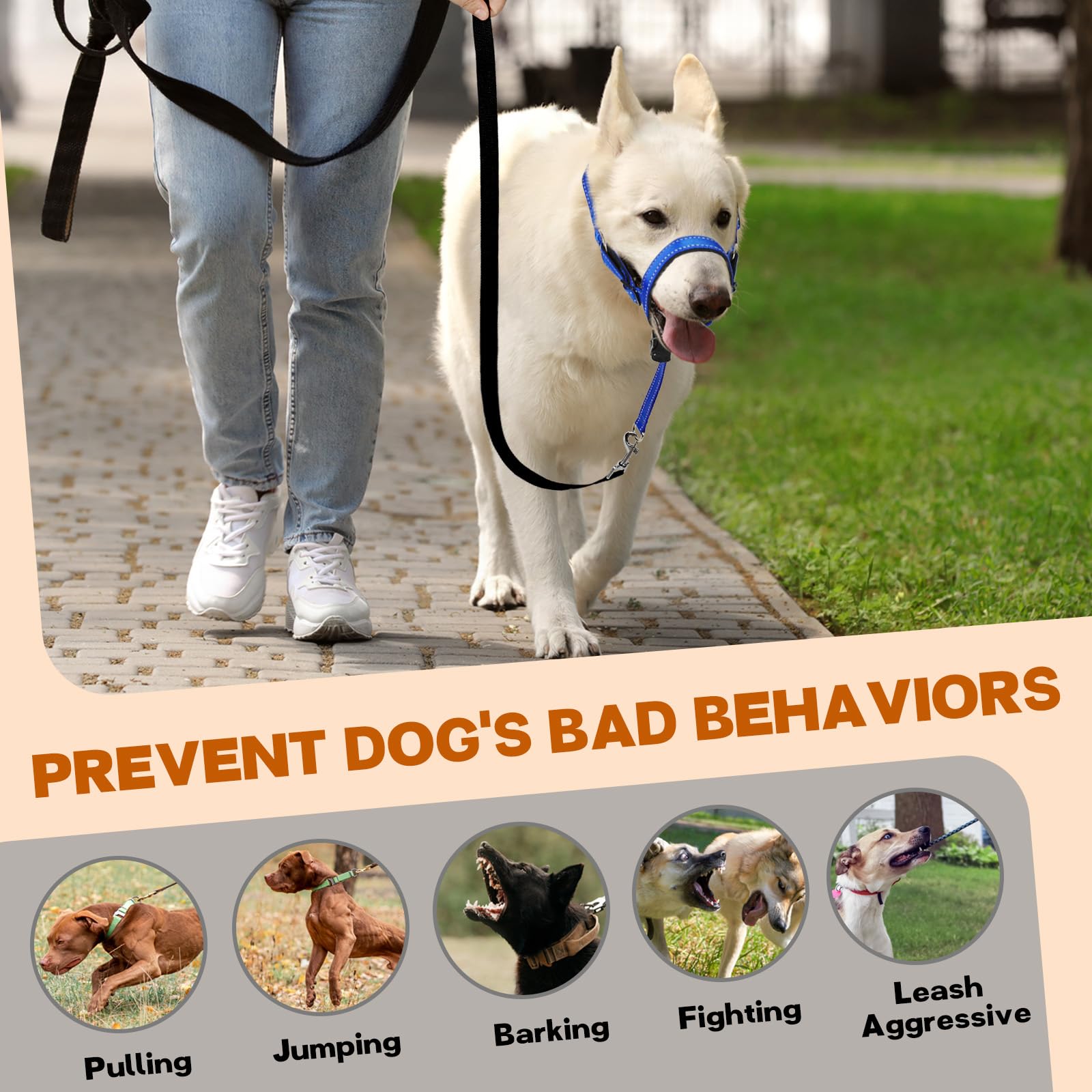 No Pull Gentle Leader Soft Padded Dog Head Halter Collar - Adjustable Training Leash for Small, Medium & Large Dogs - Reflective & Comfortable for Better Control - Perfect for Walking, Training & Outdoor Adventures (Blue, Size 4)