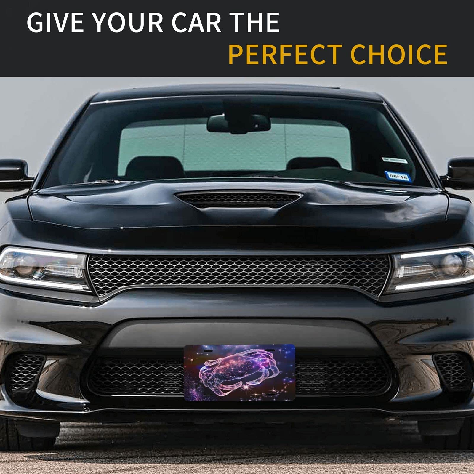 Custom Delerain Aluminum Vanity License Plate - 6x12 Inch Cancer Awareness Car Front Plate for Men, Women, Boys & Girls | Perfect for Personalization, Car Decor, and Supporting Cancer Causes