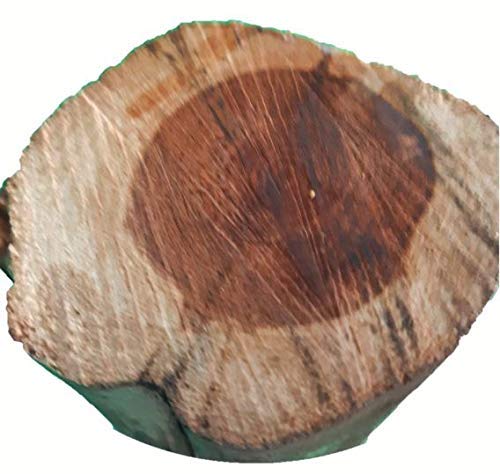 Reclaimed Baby Barn Beam - Small Cedar Wood Beam for Rustic Home Decor, DIY Projects, and Farmhouse Style