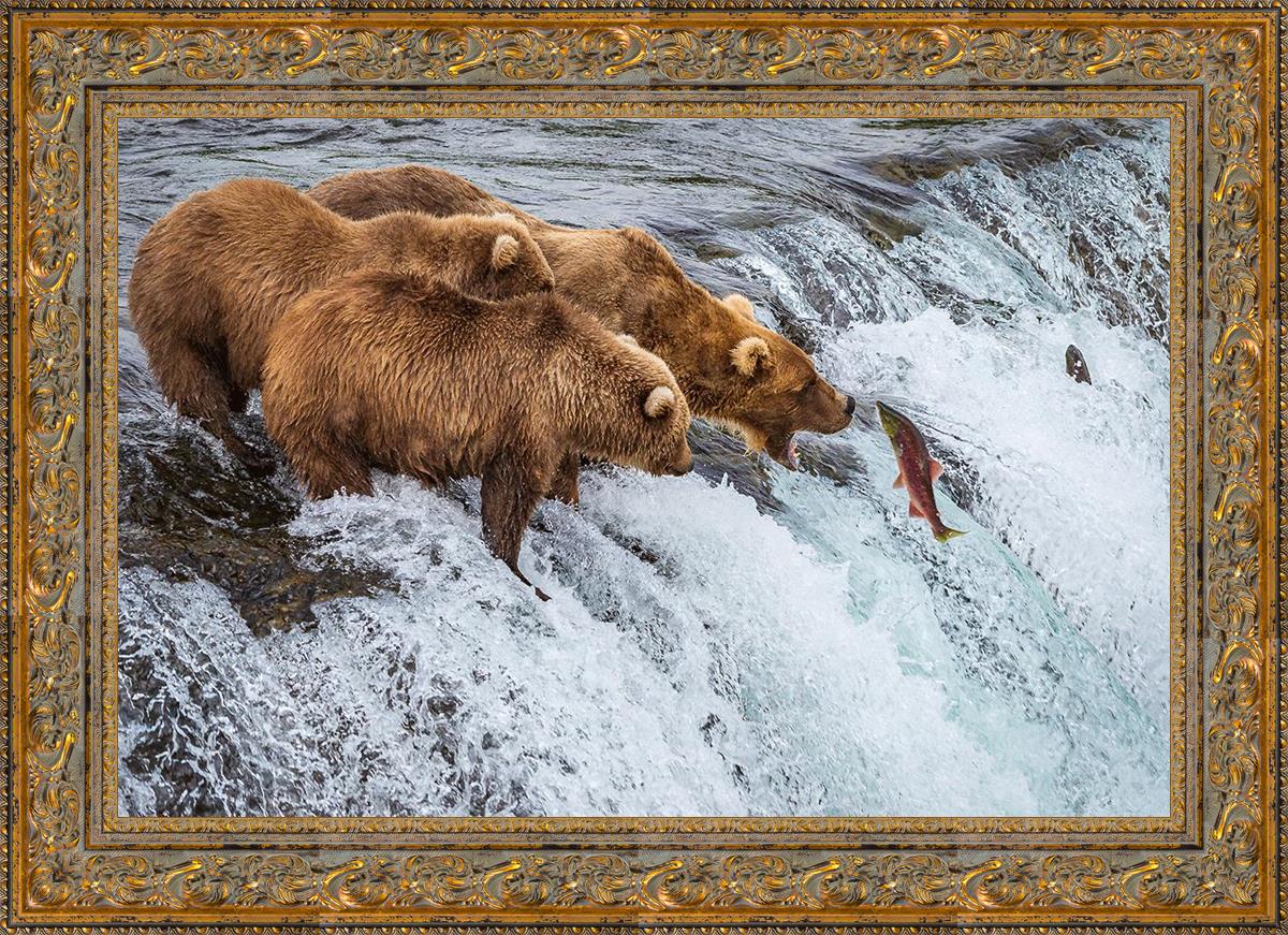 Grizzly Bears Catching Salmon at Brooks Falls, Alaska - Katmai National Park Wildlife Photography & Nature Adventure
