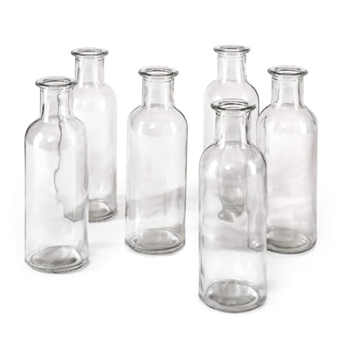 Clear, Large, Set of 48