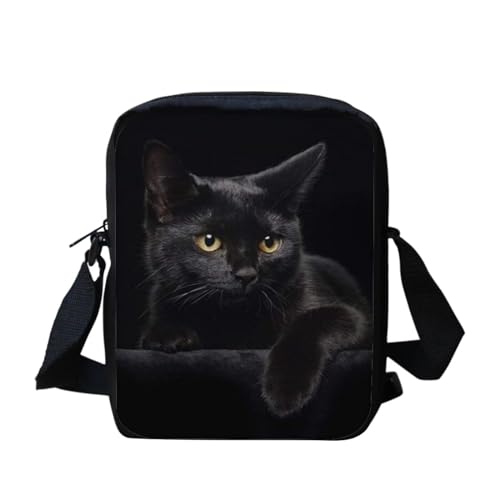 Cat 3