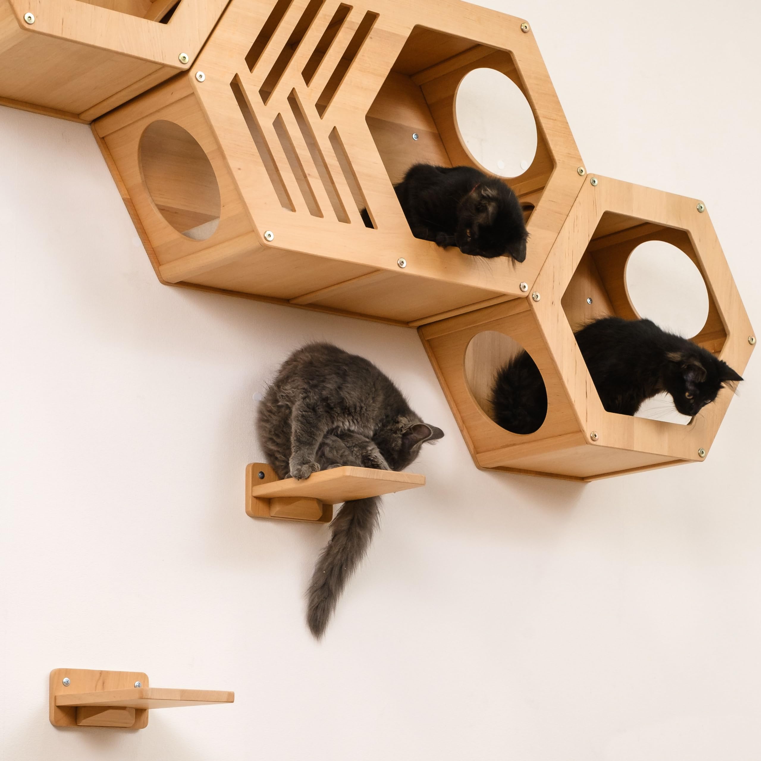 Hexagon Cat Wall Shelf - Modern Cat Furniture with Large Cat Bed & Play Tower - Perfect for Indoor Cat Climbing, Lounging & Playtime