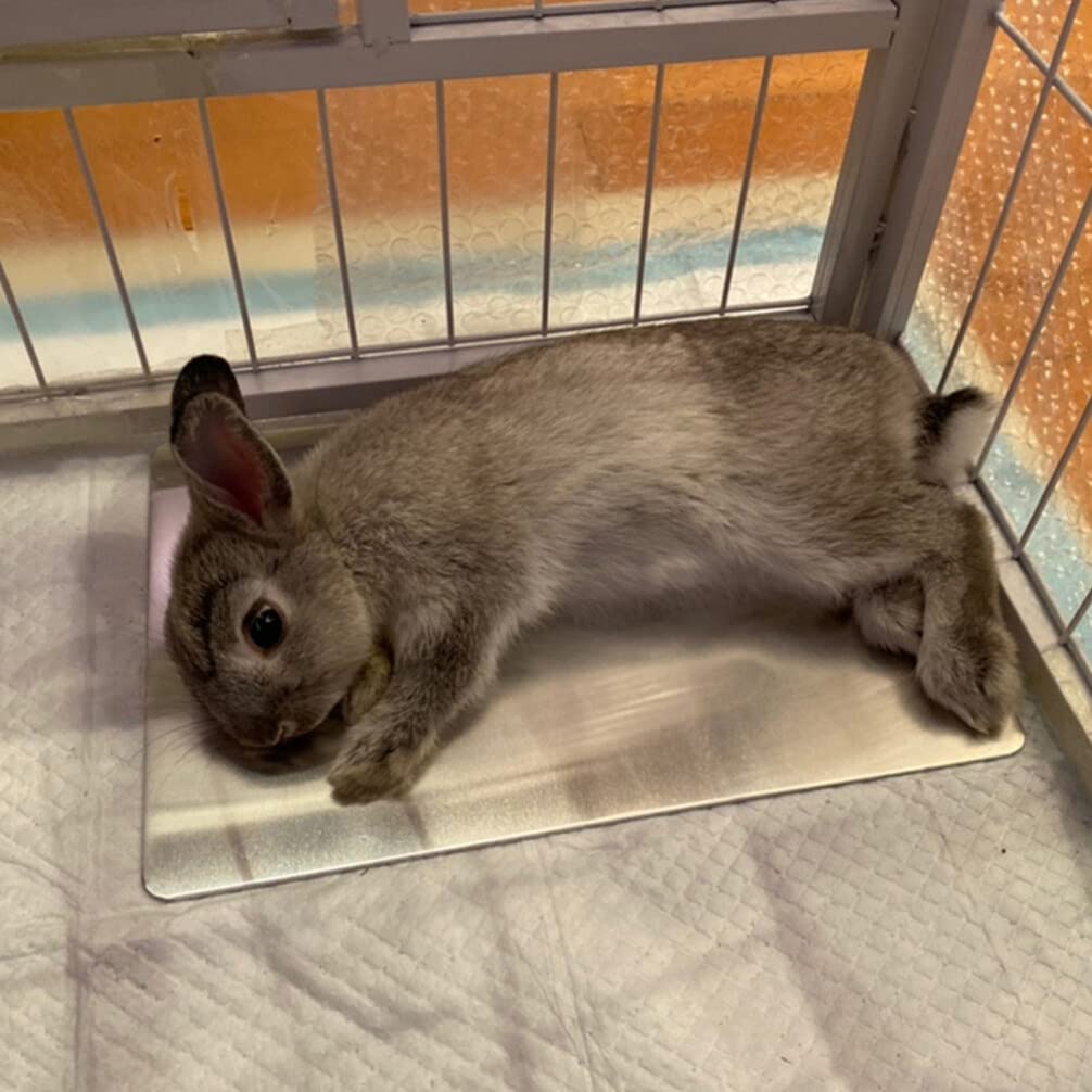 Rabbit Cooling Pad for Small Pets - Hamster, Bunny, Puppy, Kitten & Guinea Pig - Summer Cooling Mat with Bite-Resistant Design - Ice Bed for Keeping Pets Cool in Hot Weather - Perfect for Indoor Cages, Outdoor Playpens & Travel Carriers