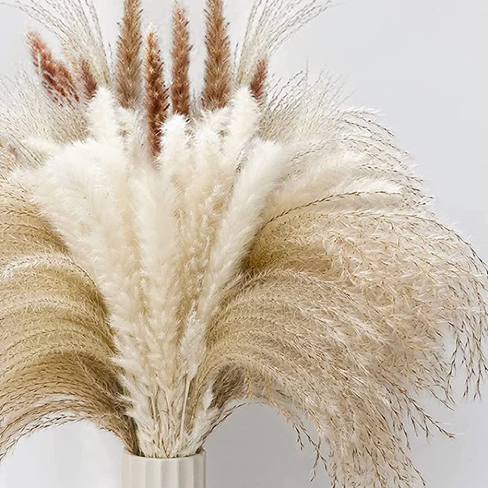 65 Pcs Natural Dried Pampas Grass Bouquet - Boho Wedding Decor, Home Vase Filler, Table Centerpiece for Kitchen, Yard & Indoor Boho Decorations | Perfect for Wedding, Party & Home Styling