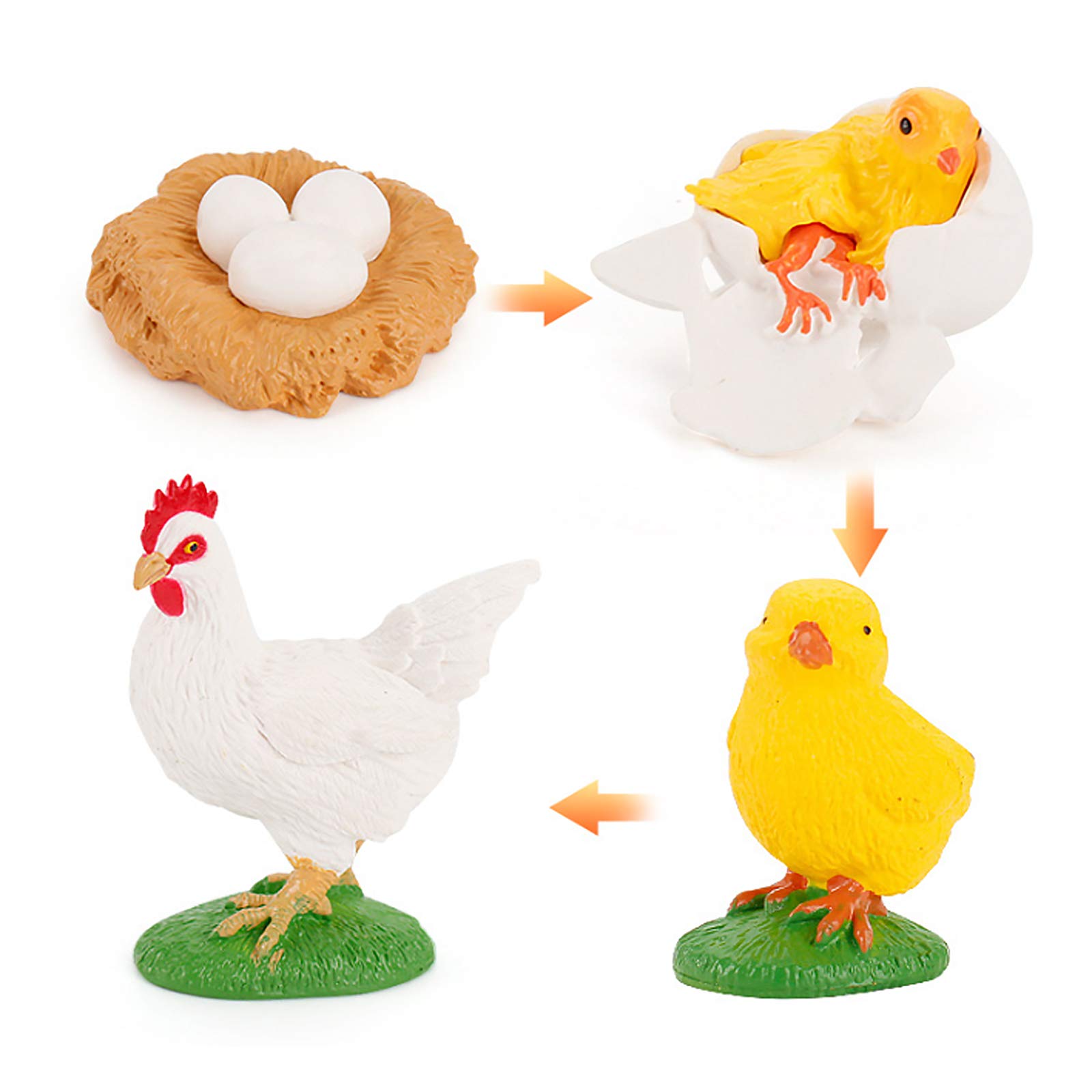 Realistic 4 PCS Chicken Life Cycle Growth Model - Educational Farm Animal Toys for Kids Ages 5-8, Science Learning Toys, Cake Toppers & Party Supplies for Birthday Decorations - Perfect for Classroom, Homeschooling & Playtime