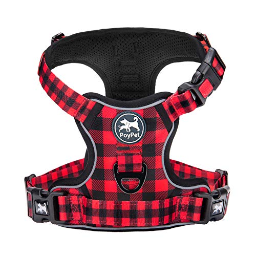 Checkered Red
