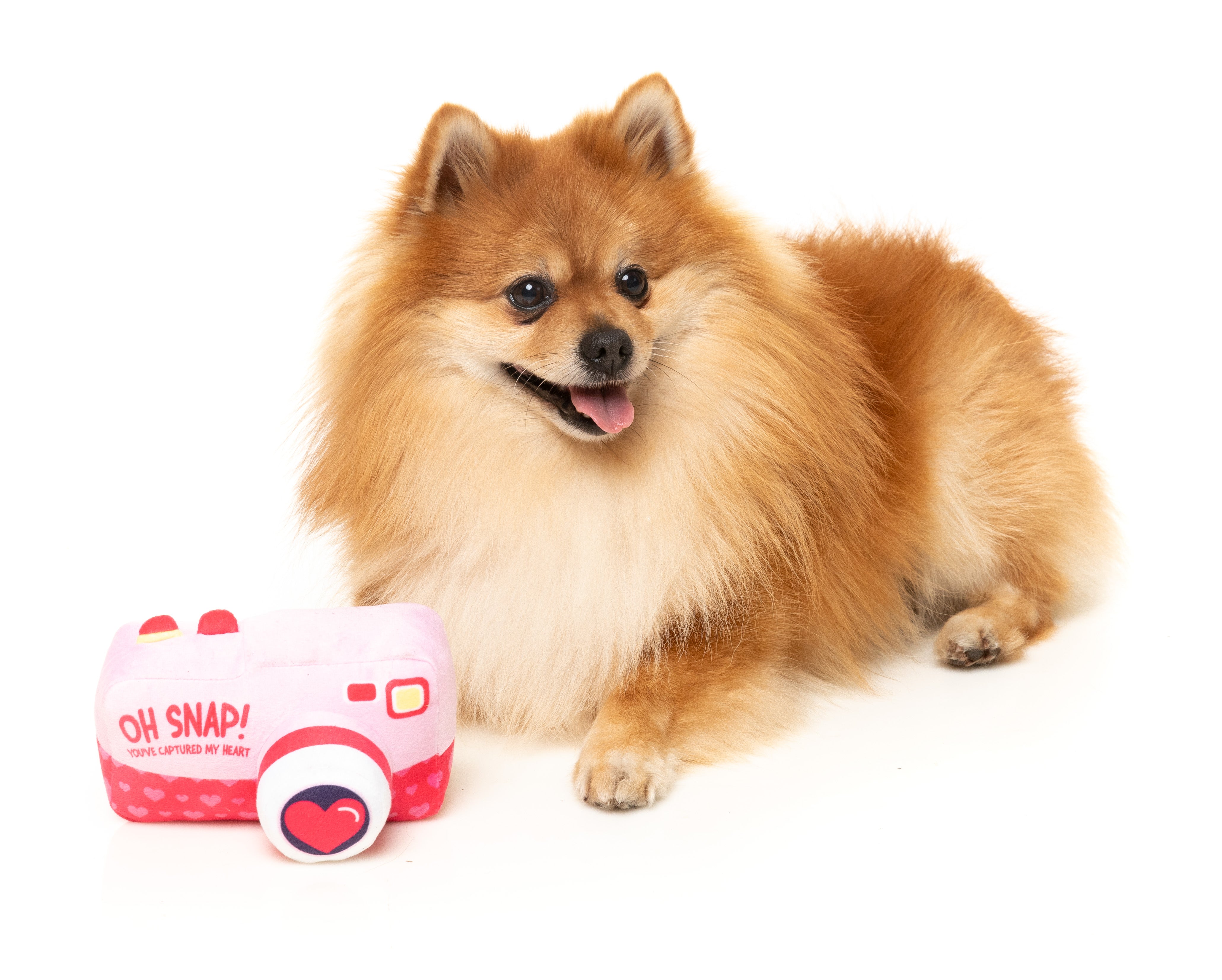 FuzzYard Oh Snap Camera Plush Dog Toy - Valentine's Day Gift for Dogs, Durable & Cute Puppy Chew Toy for Small & Medium Breeds - Perfect for Playtime, Training Rewards & Photo Props