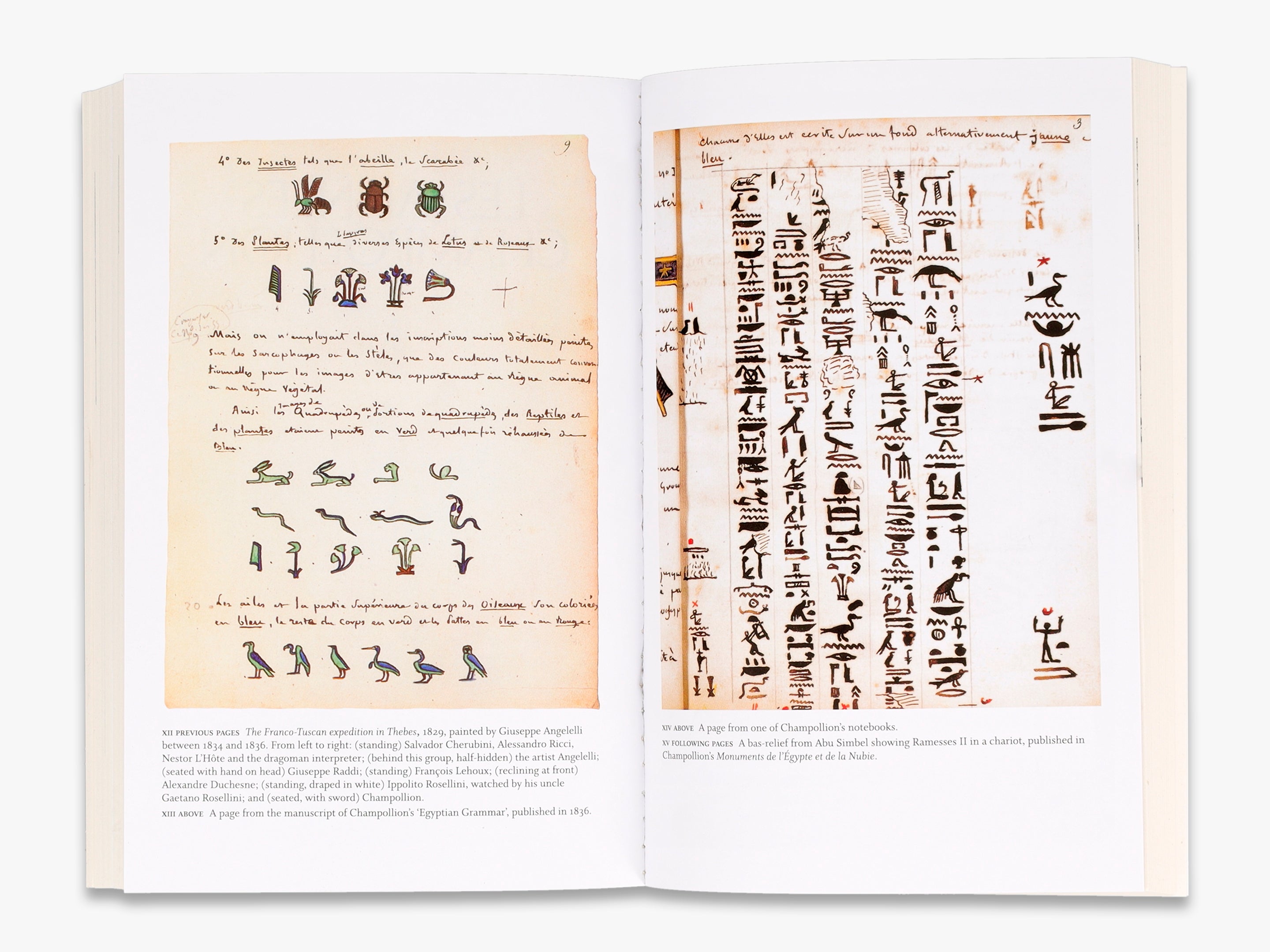Deciphering Ancient Egyptian Hieroglyphs - Learn to Read & Translate Egyptian Symbols for History Buffs & Travel Enthusiasts | Perfect for Classroom Studies, Museum Visits & Cultural Exploration
