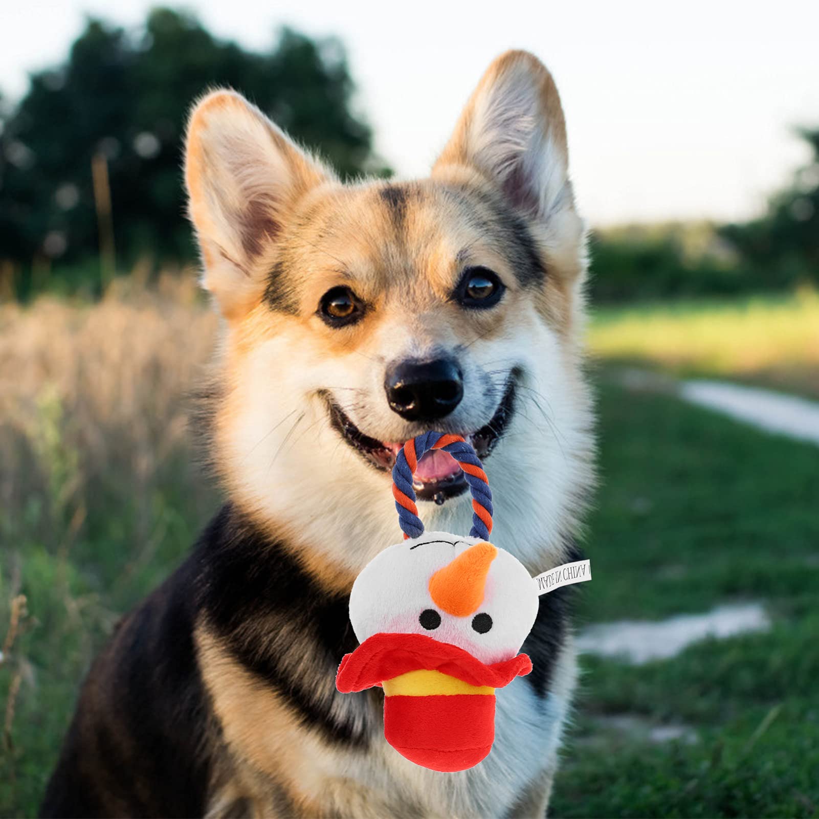Balacoo Plush Dog Toy - Chew & Sound Puppy Toy for Training & Play