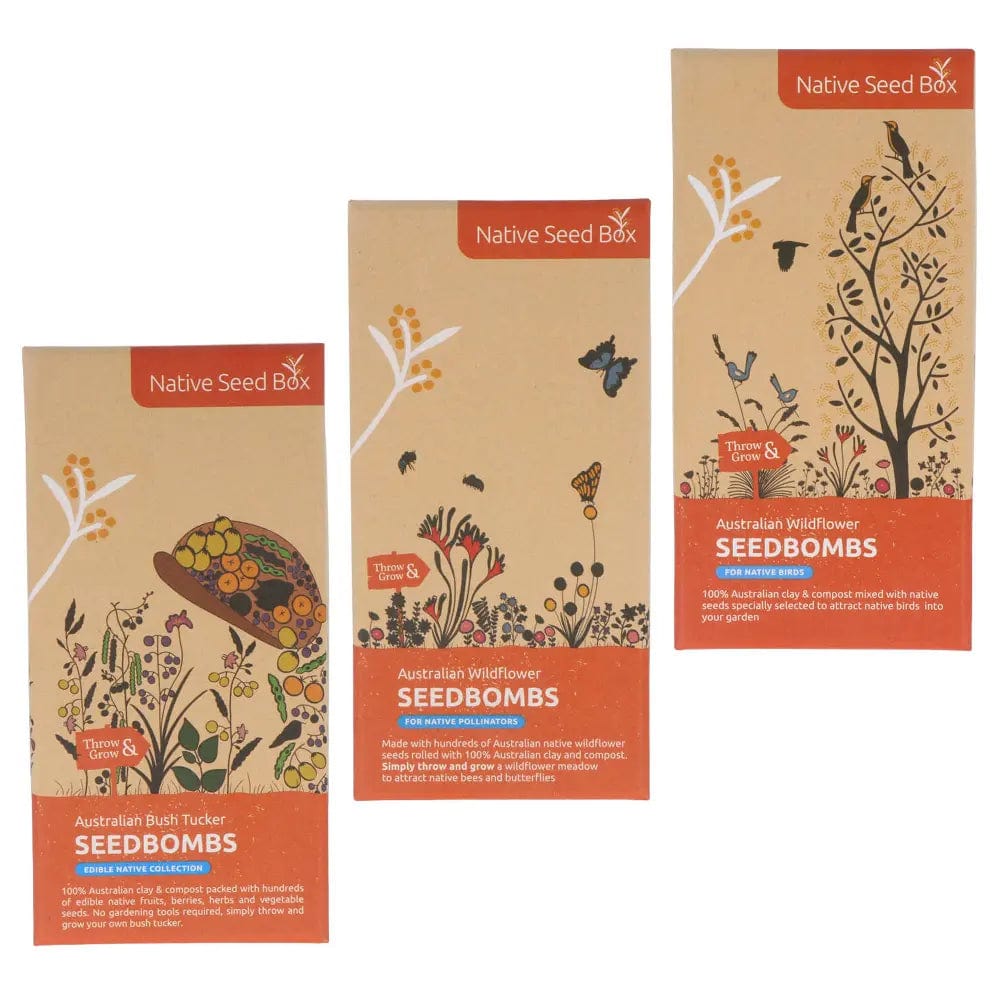 Native Seed Box Seed Bomb Collections - Wildflower & Herb Seed Bombs for Eco-Friendly Gardening, Pollinator Gardens & DIY Landscaping
