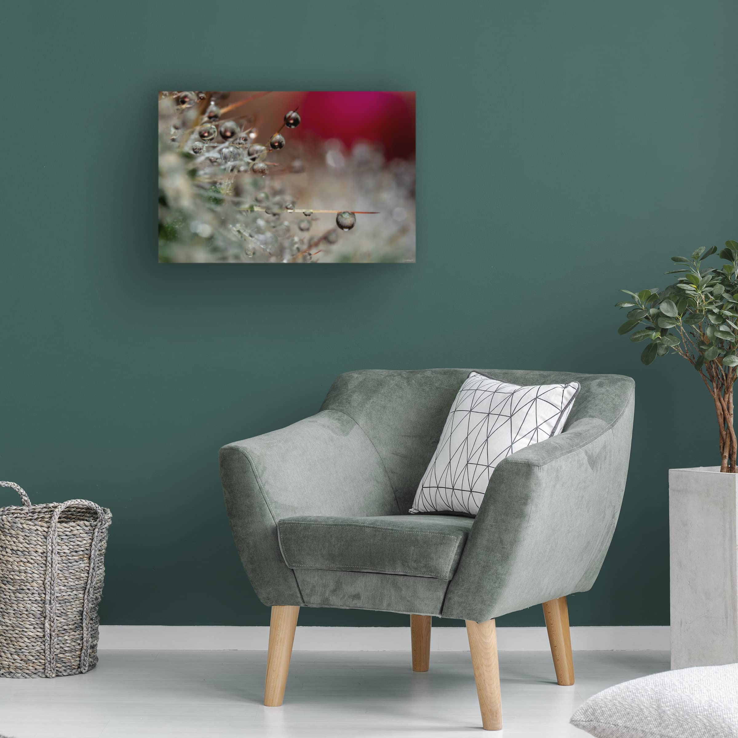 Gordon Semmens 'Cactus Flowers 17' Framed Canvas Wall Art Print - 16x24 Inches - Desert Botanical Decor for Living Room, Bedroom & Office