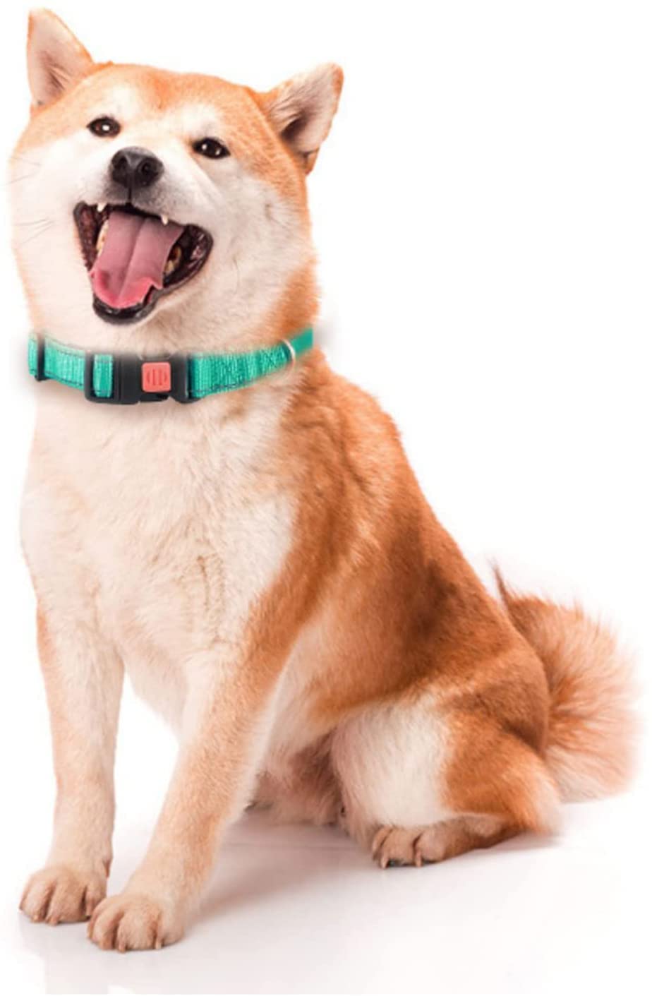 Reflective Dog Collar - Adjustable Neoprene Pet Collar with Quick Release Buckle | Ultra Soft, Breathable & Durable Design for Puppy, Small, Medium & Large Dogs | Perfect for Night Walks & Outdoor Adventures