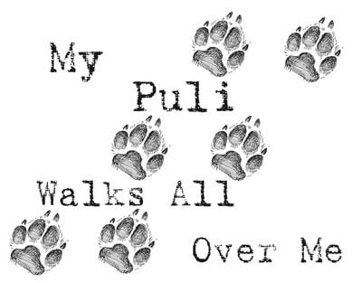 Cahoon's Closet 'My Puli Walks All Over Me' Funny Dog Lover T-Shirt - Comfortable Cotton Tee for Puli Owners & Dog Lovers - Perfect for Walks, Dog Parks & Casual Wear