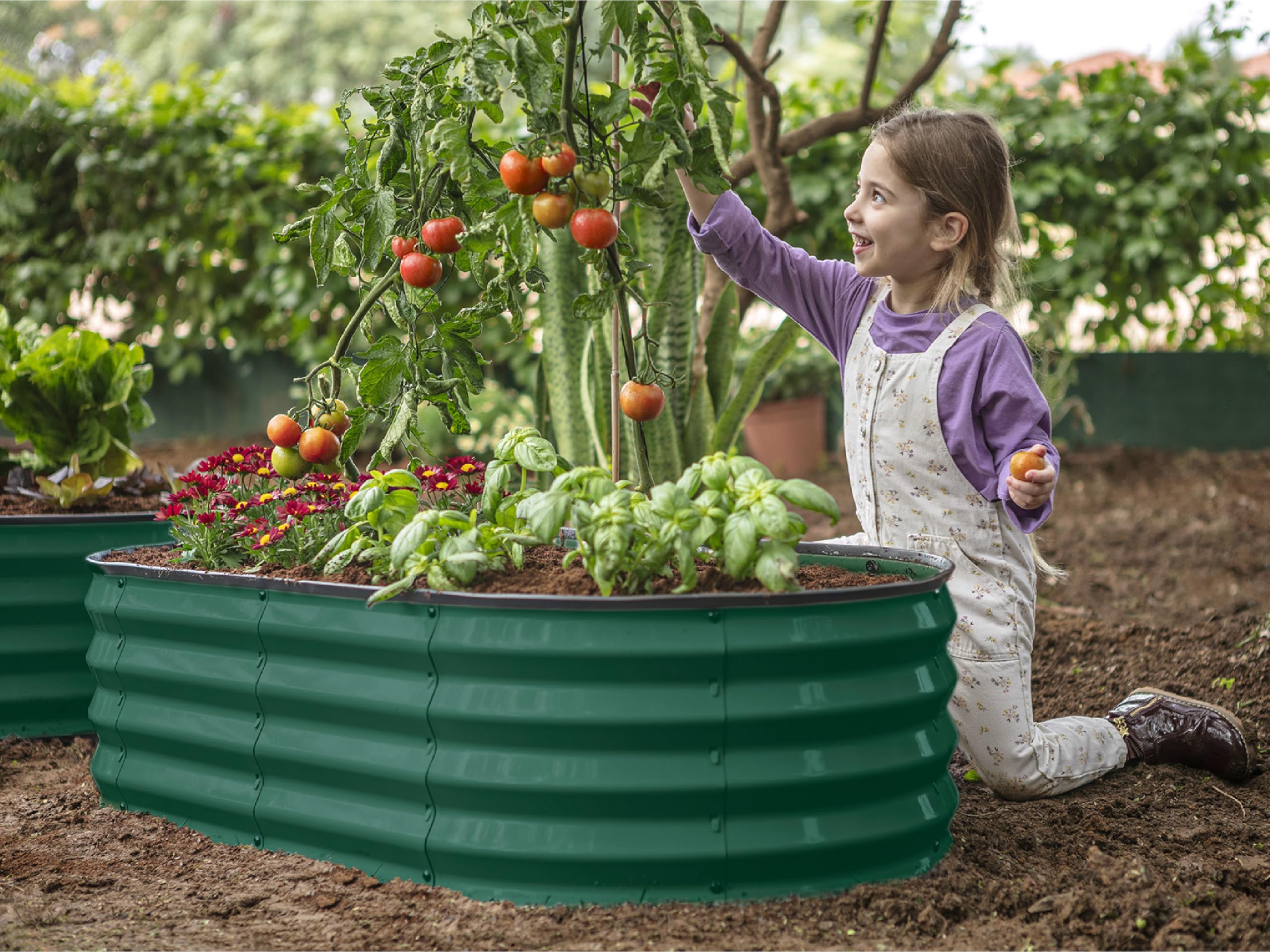 Galvanized Raised Garden Beds Outdoor - 4×2×1 ft (2-Pack) Metal Planter Box for Vegetables, Flowers & Herbs - Dark Green Patented Tool-Free Design - Perfect for Backyard, Patio & Urban Gardening