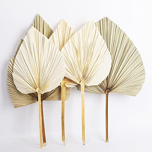 Natural Dried Palm Leaf Fan Decor - Handmade Dried Flowers for Wall Hanging, Wedding Arch, Party & Window Decoration - Boho Home Decor, Tropical Reception Decorations