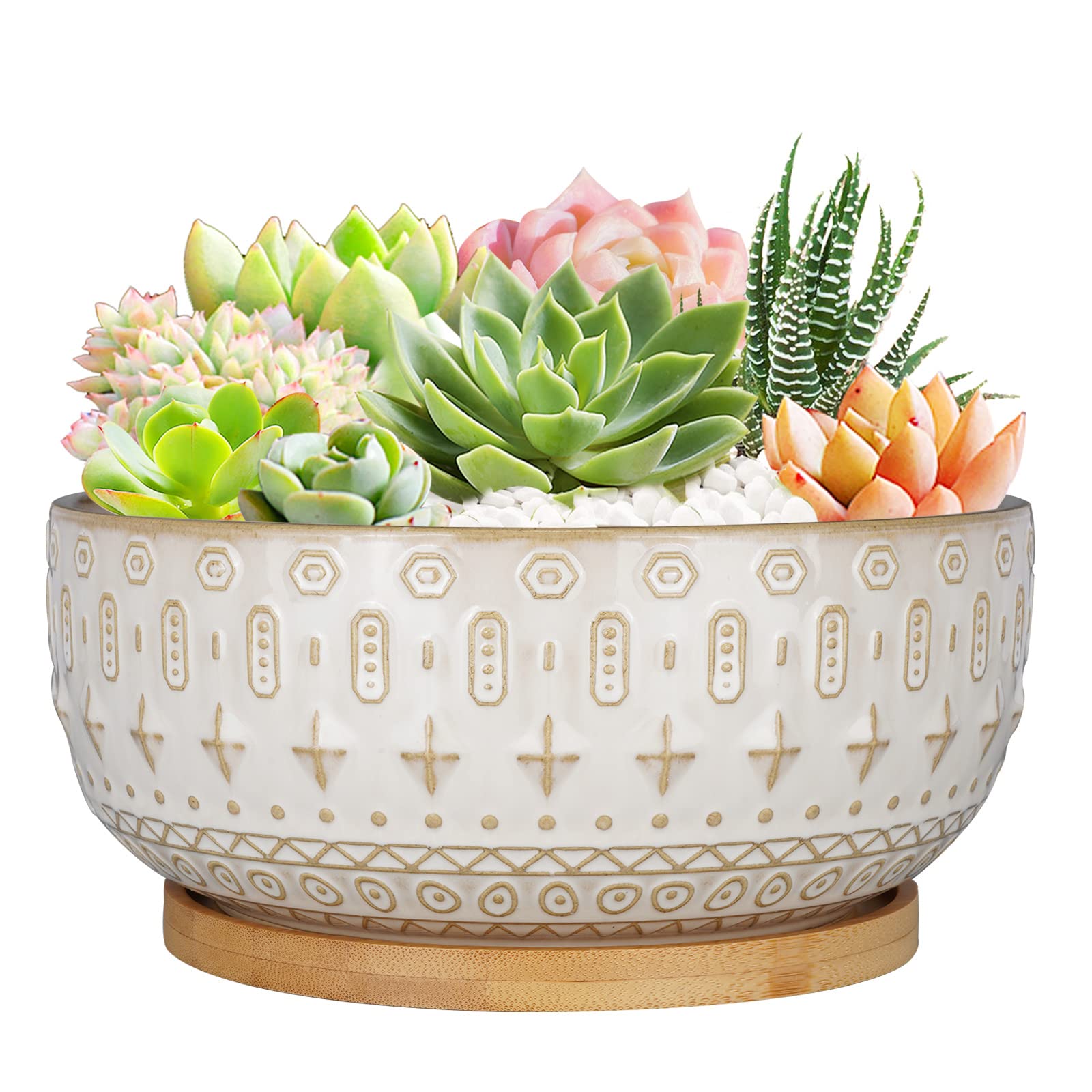 8 Inch White Ceramic Succulent Planter Pots with Drainage Hole - Round Shallow Bonsai Flower Pot with Bamboo Tray for Indoor Plants - Perfect for Home Decor, Office Desk, and Gift Ideas