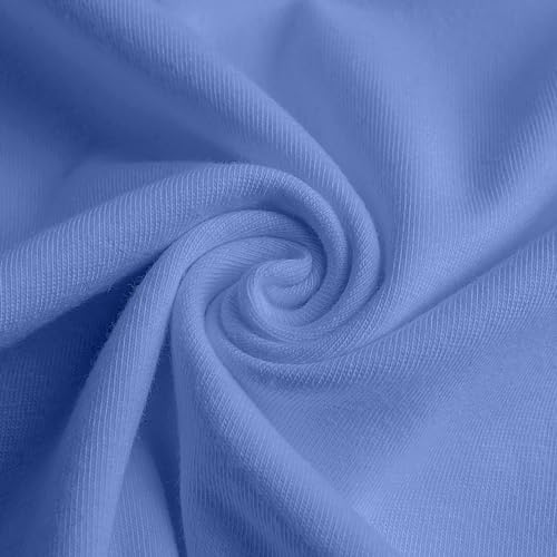 Wedgewood Blue