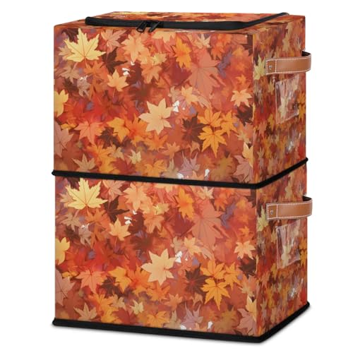 Maple Fall Leaves