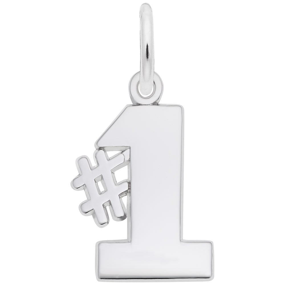 #1 Best Selling Charms for Bracelets & Necklaces - Perfect for DIY Jewelry Making, Gifts & Personal Accessories