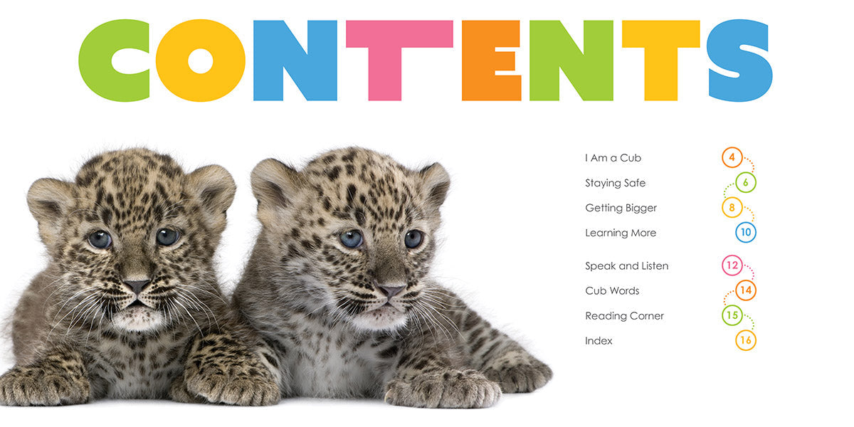 Baby Leopard Print Clothing & Accessories for Newborns & Toddlers - Perfect for Photo Shoots, Nursery Decor & Baby Showers