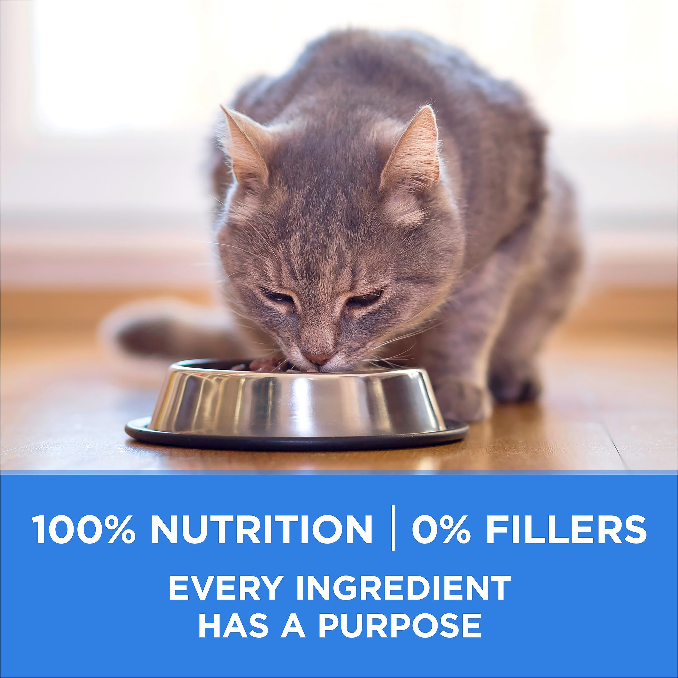 Purina ONE +Plus Urinary Tract Health Dry Cat Food, Chicken Flavor - 1.8kg Bag for Adult Cats - Supports Bladder Health & Reduces Urinary Crystals - Ideal for Indoor Cats with Urinary Issues