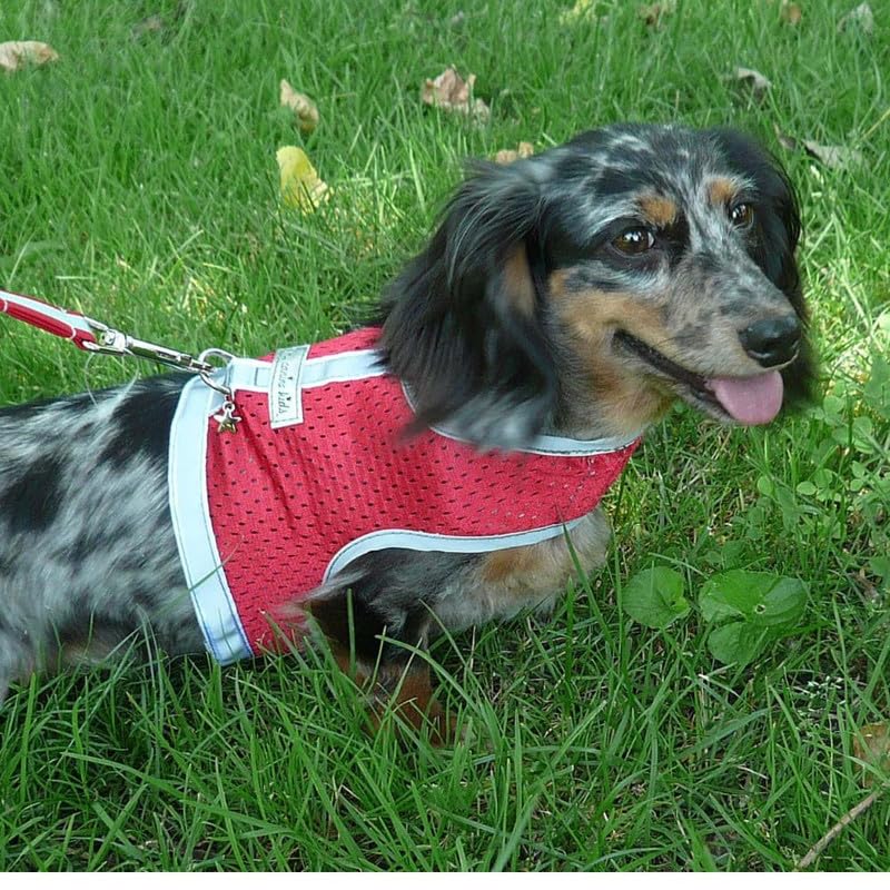 Breathable Mesh Dog Harness for Small Dogs & Puppies - Reflective, Adjustable Velcro - Perfect for Teacup Breeds, Walking & Outdoor Adventures
