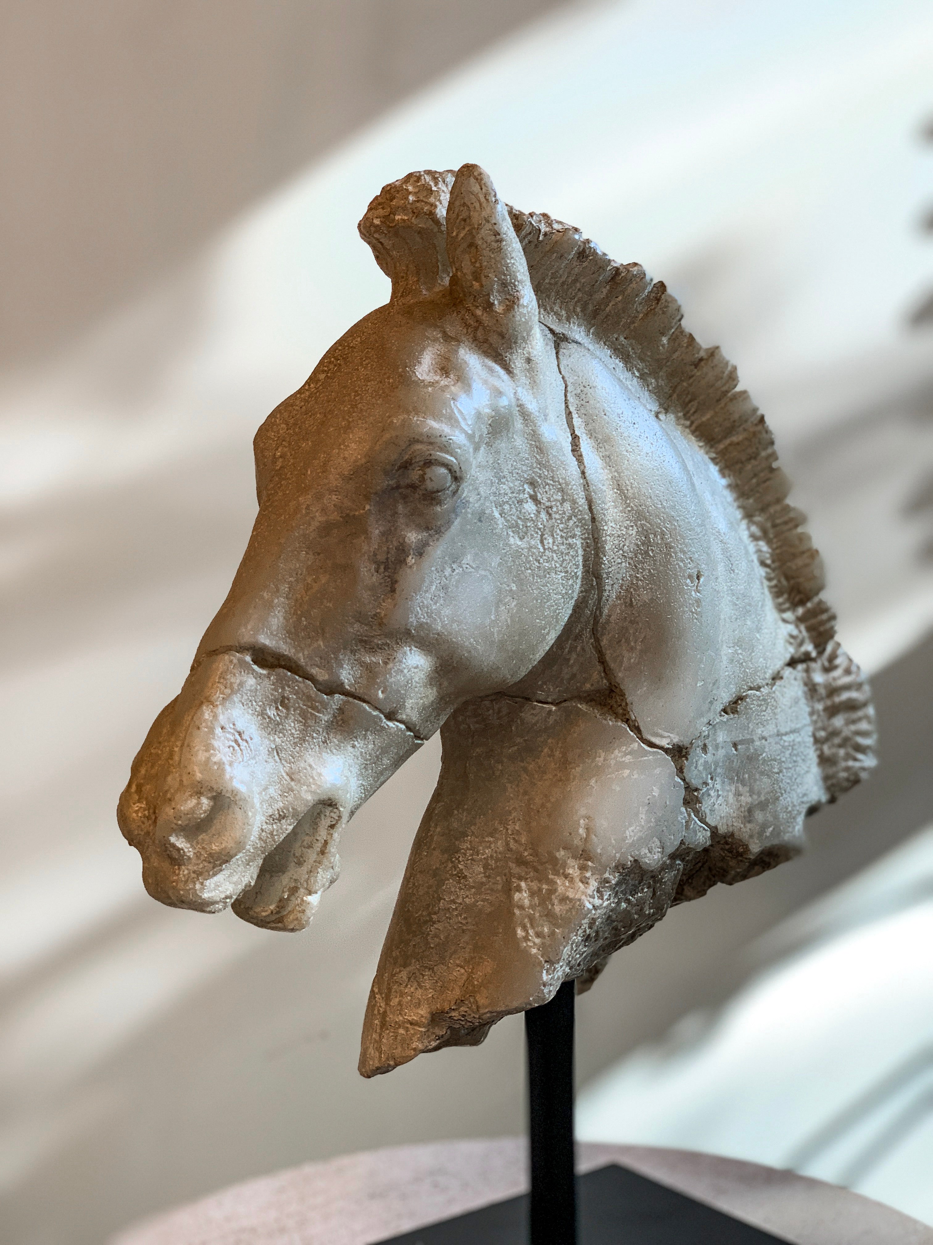 Monti's Elegant Horse Head Sculpture - Handcrafted Home Decor Statue for Living Room, Office & Garden | Perfect Gift for Equestrian Lovers