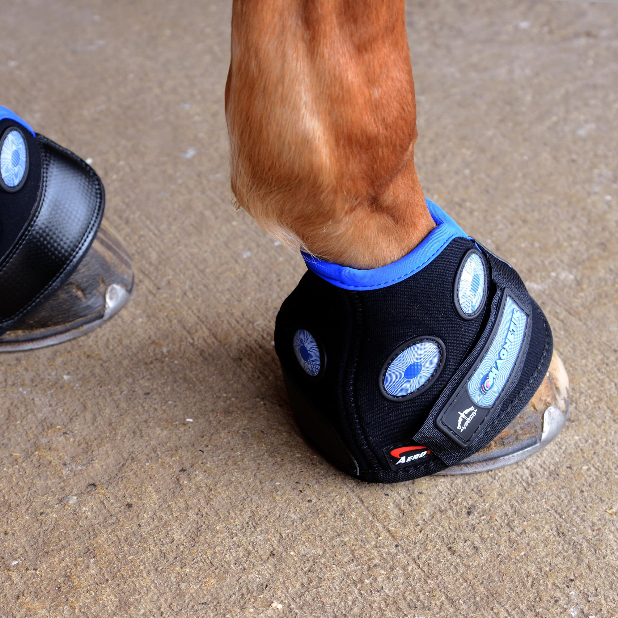 Veredus MAGNETIK Hoof Boots - Lightweight Overreach Protection for Horses - Perfect for Riding, Training, and Show Jumping