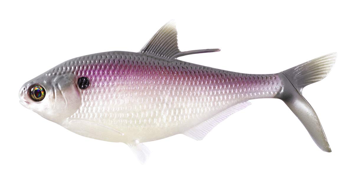 13 Fishing BAMF Shad Soft Swimbaits for Bass Fishing