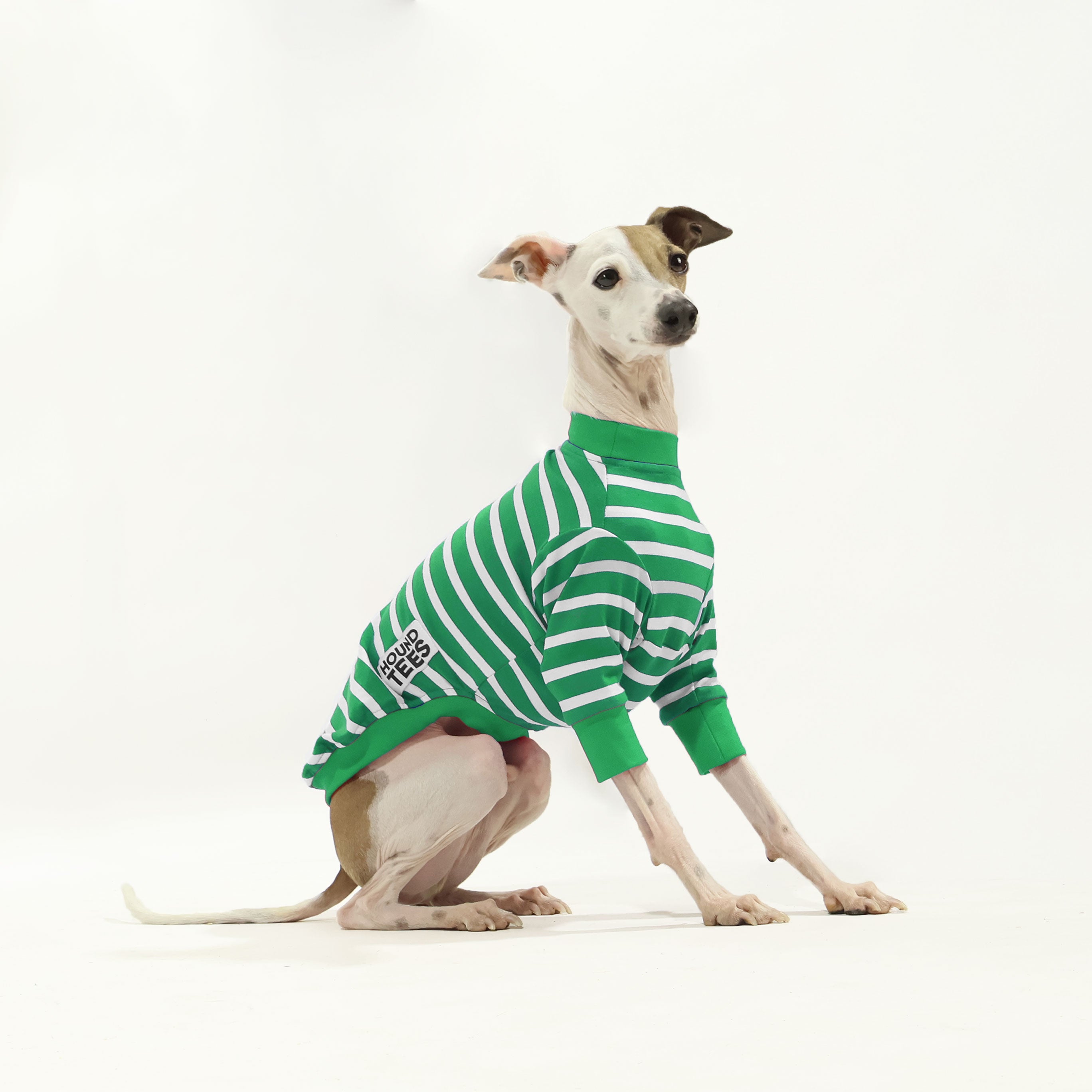 Italian Greyhound Long Sleeve T-Shirt - Cute Dog Lover Apparel for Women & Men - Perfect for Casual Wear, Dog Walks, and Pet Owner Gifts