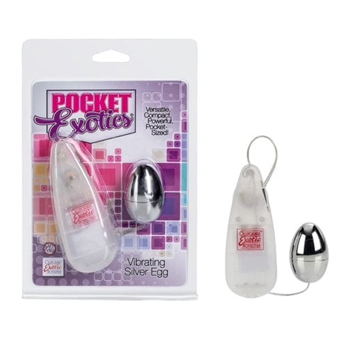 Premium Silver Pocket Exotics Vibrating Egg - Discreet & Powerful Personal Massager for Couples & Solo Play - Perfect for Travel, Date Nights & Spicing Up Your Intimate Life