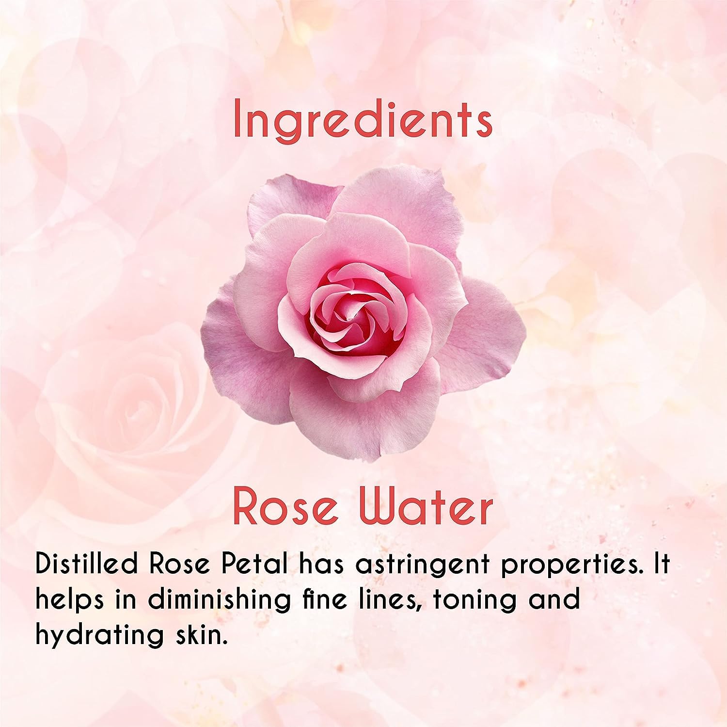 Khadi Organic Rose Water Spray for Face & Skin - Pure Ayurvedic Gulab Jal Toner | Steam Distilled in Kannauj | 100% Natural Rosewater (Pack of 2, 120ml) - Perfect for Hydration, Makeup Setting & After-Sun Care