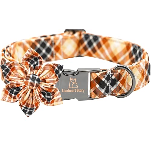 Fall Plaid