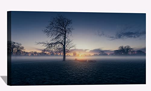 Early Morning Autumn Sunrise