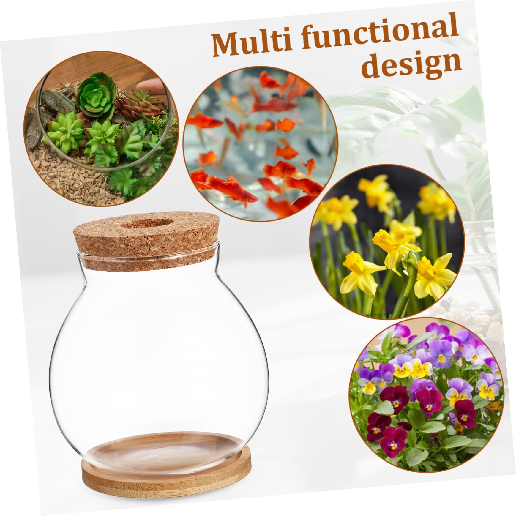 Glass Terrarium with Lid - Goldfish Bowl, Betta Fish Tank, Hydroponic Plant Vase for Office Desk Decor | Perfect for Home Aquarium, Indoor Gardening & Zen Bamboo Arrangements